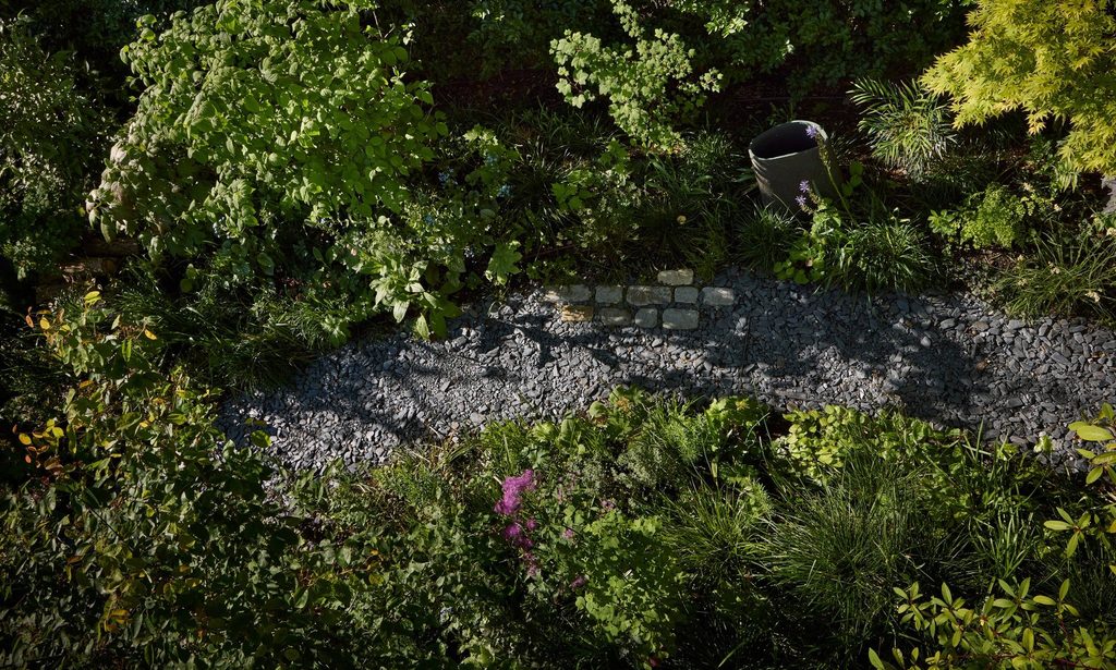 The Photographer’s Garden — garden by Shoots & Leaves, photograph 7