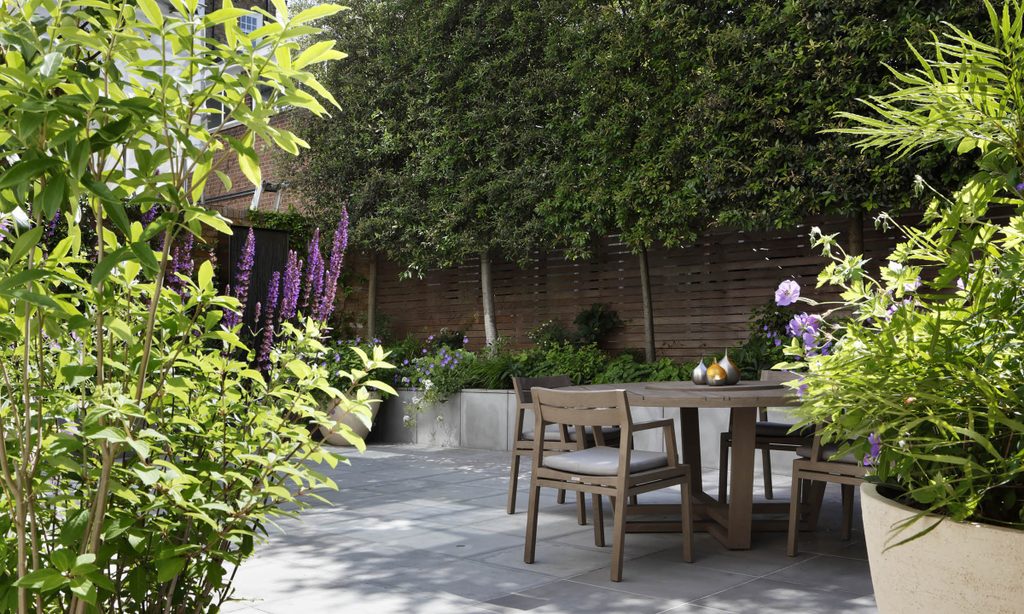 Serenity in the City — garden by Shoots & Leaves, photograph 3