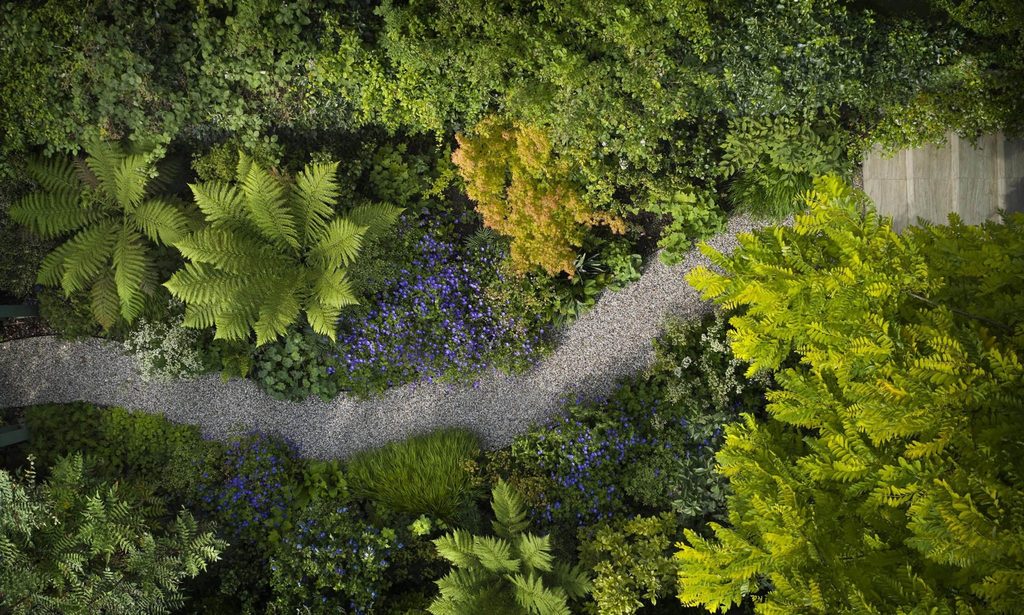 A sense of discovery — garden by Shoots & Leaves, photograph 1
