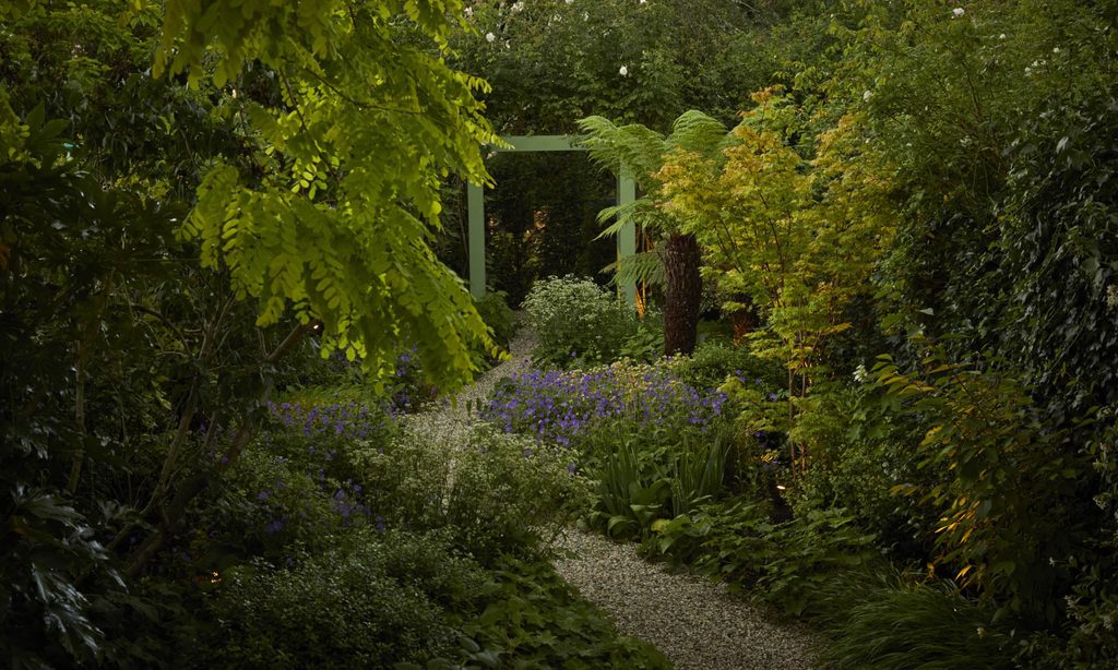 A sense of discovery — garden by Shoots & Leaves, photograph 11
