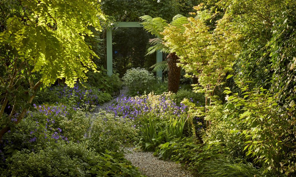 A sense of discovery — garden by Shoots & Leaves, photograph 3