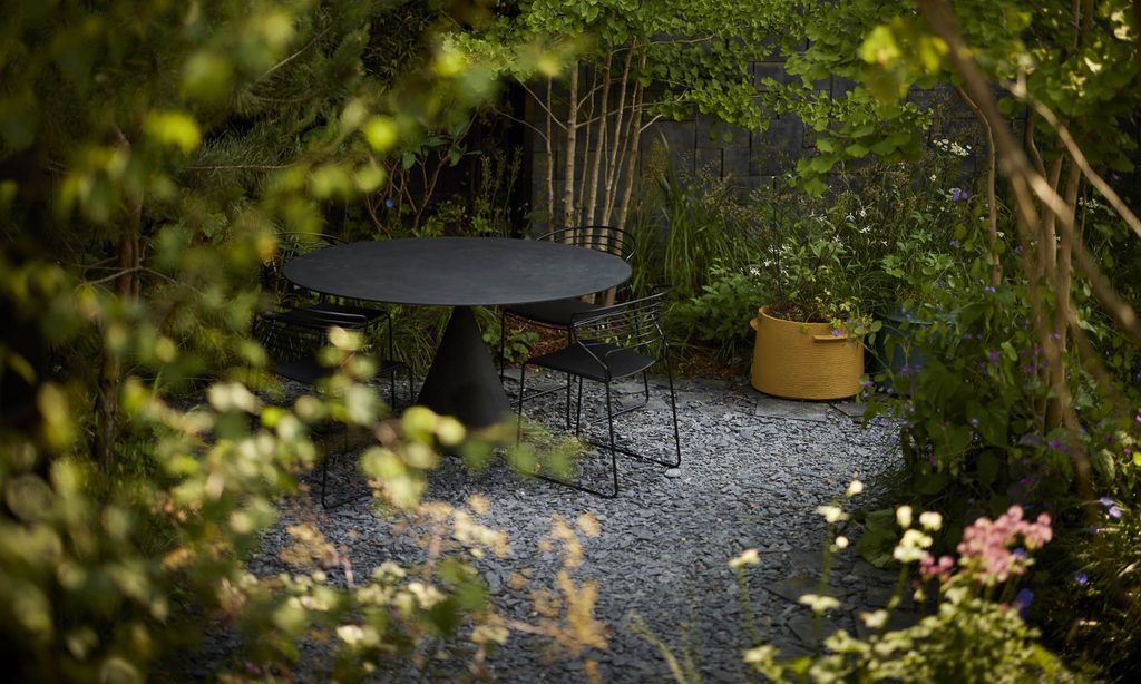 Edgy Woodland Wonderland in Summer — garden by Shoots & Leaves, photograph 14