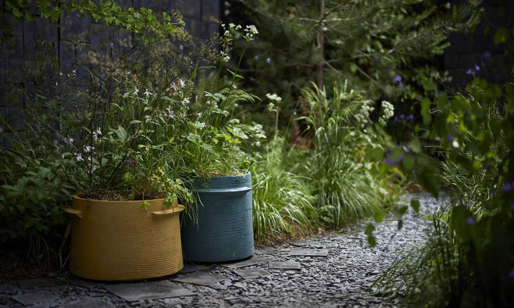 Edgy Woodland Wonderland in Summer — garden by Shoots & Leaves, photograph 15