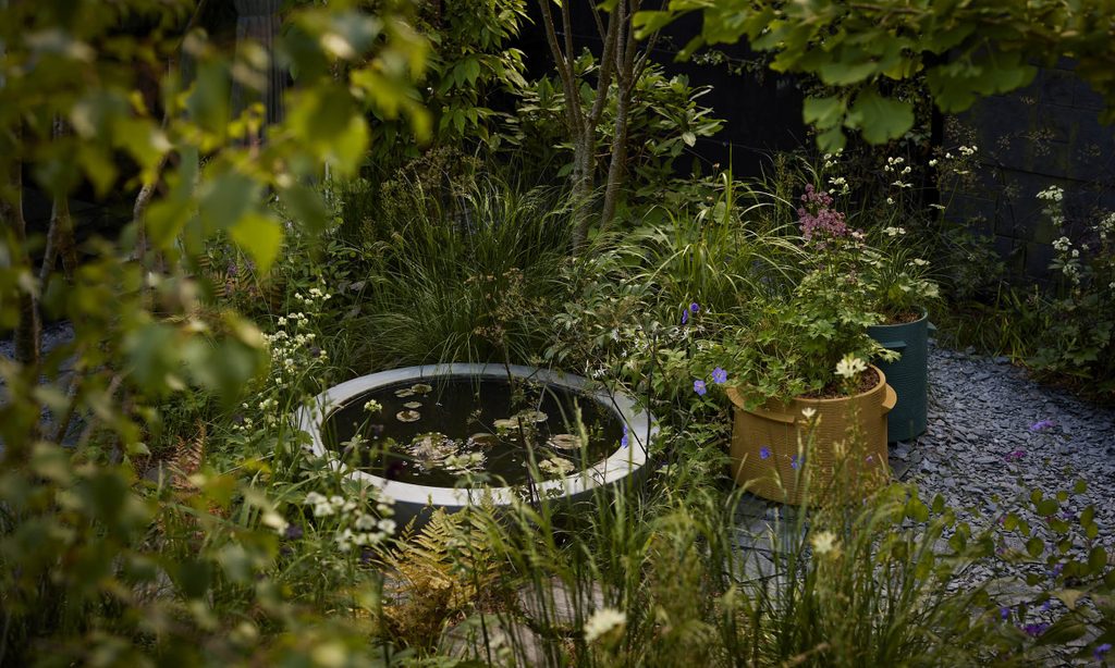 Edgy Woodland Wonderland in Summer — garden by Shoots & Leaves, photograph 16