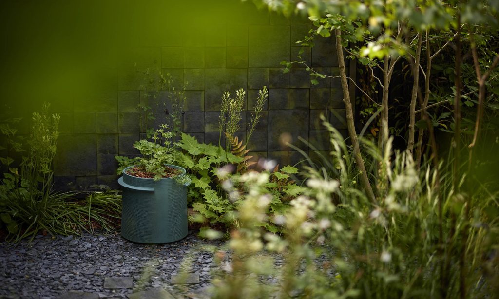 Edgy Woodland Wonderland in Summer — garden by Shoots & Leaves, photograph 17