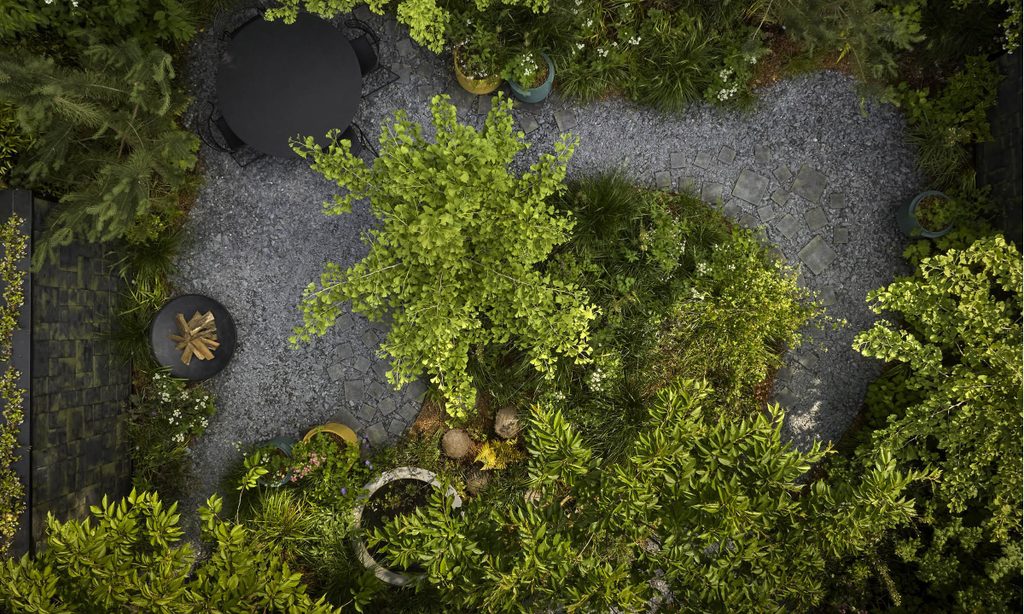 Edgy Woodland Wonderland in Summer — garden by Shoots & Leaves, photograph 19