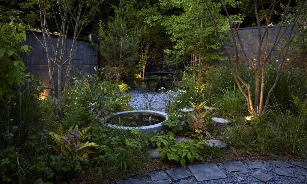 Edgy Woodland Wonderland in Summer — garden by Shoots & Leaves, photograph 21