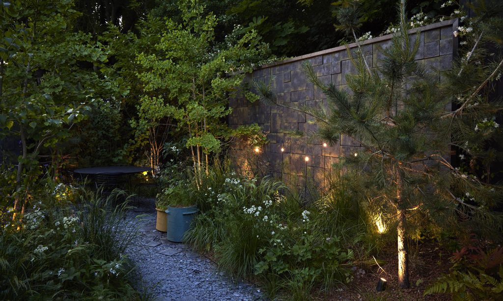 Edgy Woodland Wonderland in Summer — garden by Shoots & Leaves, photograph 22