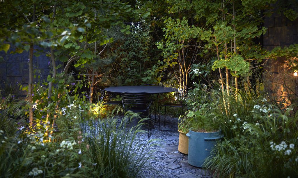 Edgy Woodland Wonderland in Summer — garden by Shoots & Leaves, photograph 23
