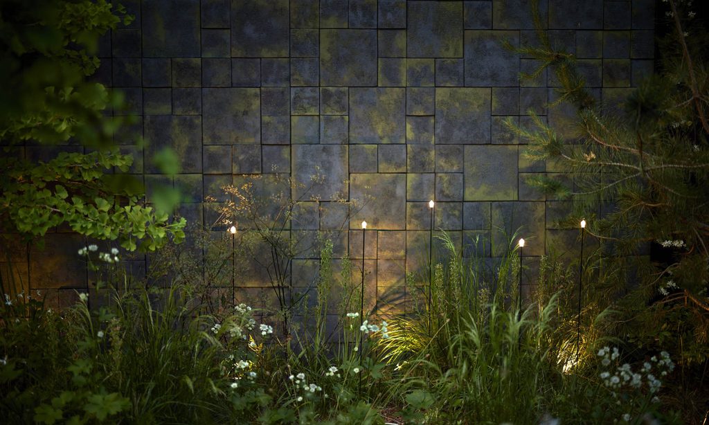 Edgy Woodland Wonderland in Summer — garden by Shoots & Leaves, photograph 24