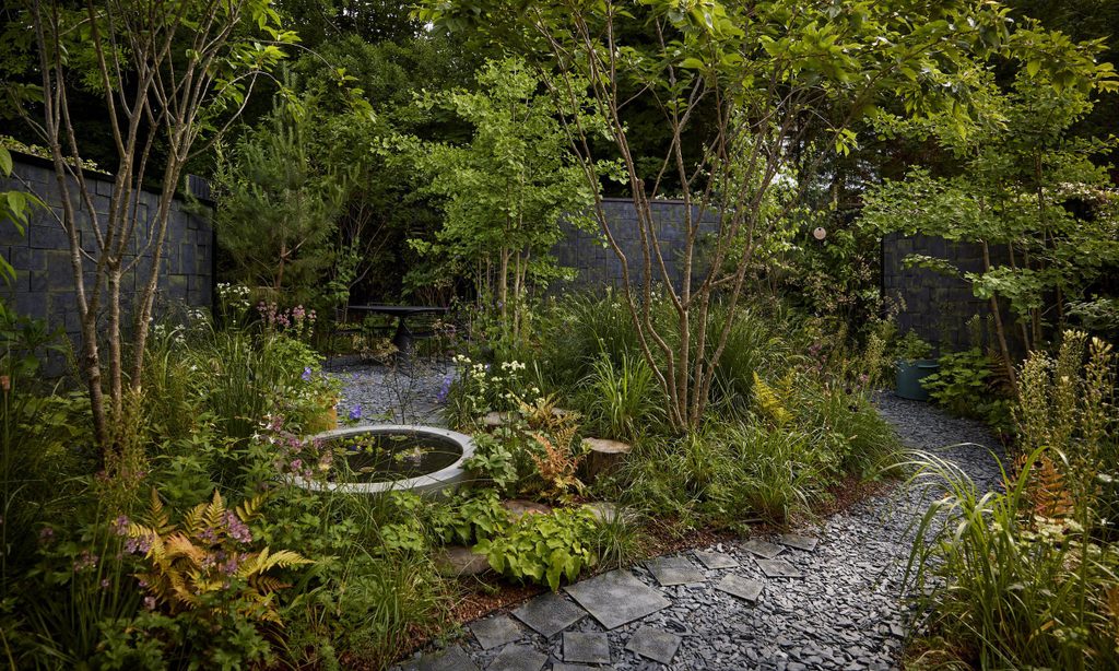 Edgy Woodland Wonderland in Summer — garden by Shoots & Leaves, photograph 4