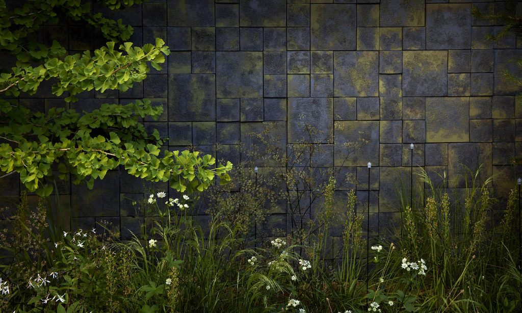 Edgy Woodland Wonderland in Summer — garden by Shoots & Leaves, photograph 5