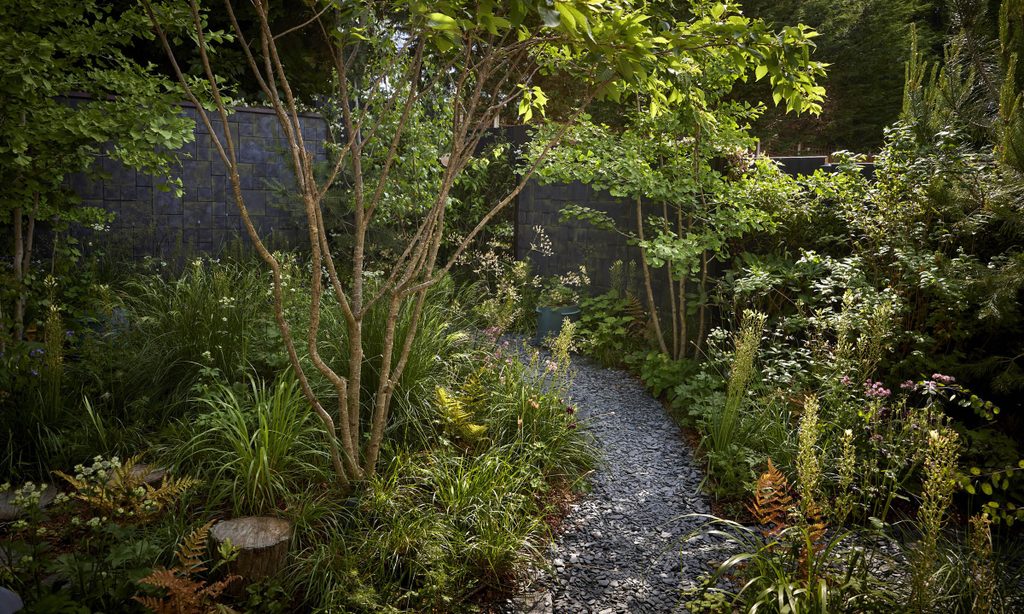 Edgy Woodland Wonderland in Summer — garden by Shoots & Leaves, photograph 7