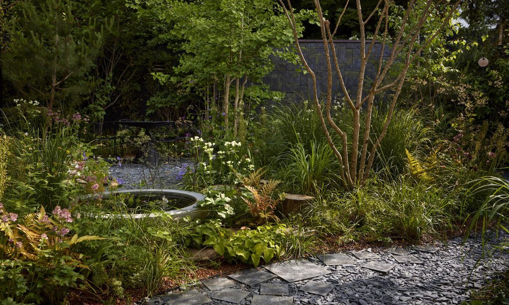 Edgy Woodland Wonderland in Summer — garden by Shoots & Leaves, photograph 8