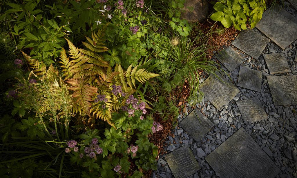 Edgy Woodland Wonderland in Summer — garden by Shoots & Leaves, photograph 9