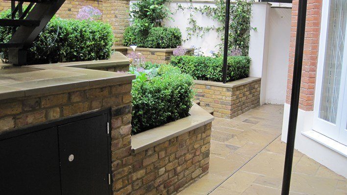 Kensington Town Garden — garden by Shoots & Leaves, photograph 3
