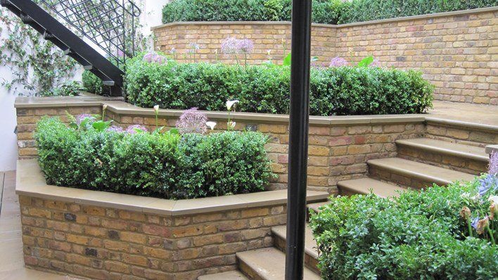 Kensington Town Garden — garden by Shoots & Leaves, photograph 6