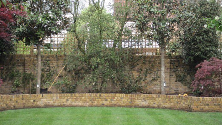 Privacy Garden — garden by Shoots & Leaves, photograph 1
