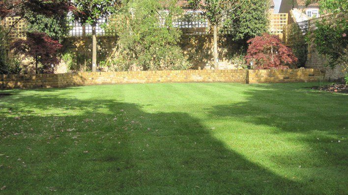 Privacy Garden — garden by Shoots & Leaves, photograph 4