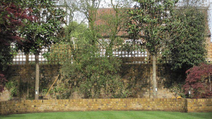 Privacy Garden — garden by Shoots & Leaves, photograph 5