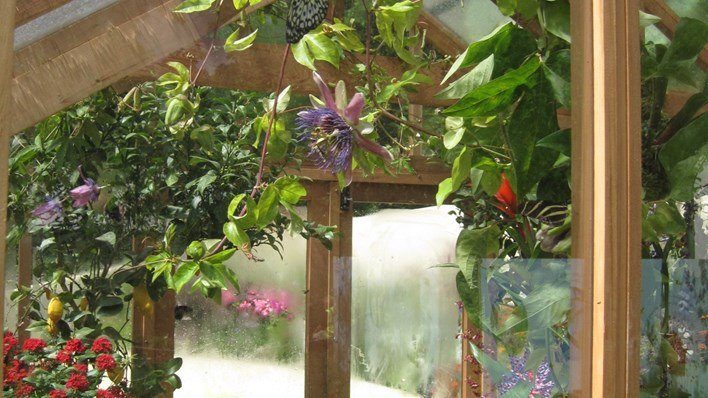 RHS Hampton Court Flower Show 2012 — garden by Shoots & Leaves, photograph 8