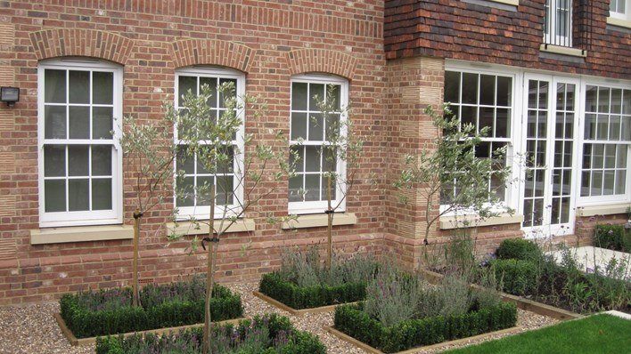 A Garden in Roehampton — garden by Shoots & Leaves, photograph 11