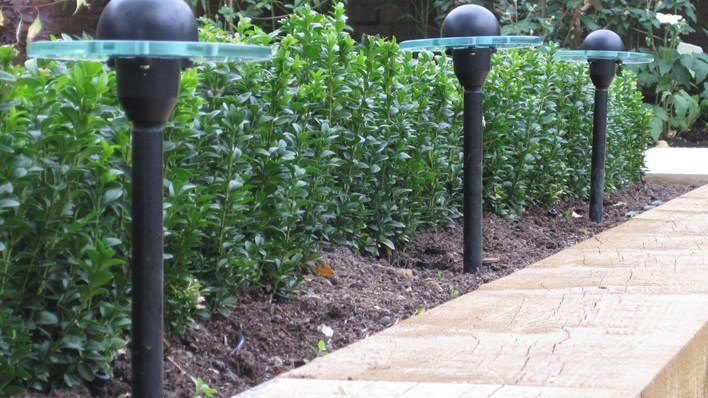 A Garden in Roehampton — garden by Shoots & Leaves, photograph 5