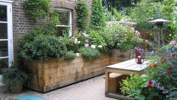 Traditional Hampstead Garden — garden by Shoots & Leaves, photograph 8