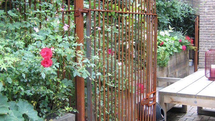 Traditional Hampstead Garden — garden by Shoots & Leaves, photograph 4