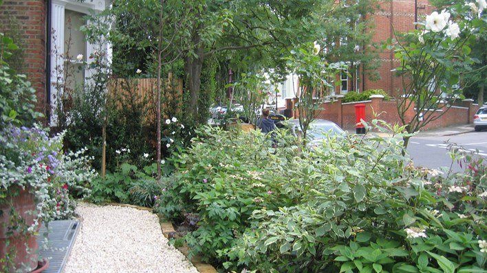 Traditional Hampstead Garden — garden by Shoots & Leaves, photograph 6