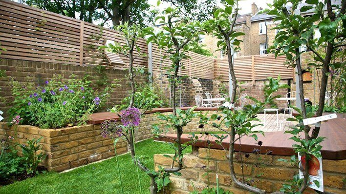 Urban Hammersmith Garden — garden by Shoots & Leaves, photograph 2