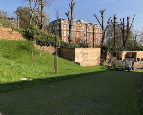 Freshly laid lawn turf in a garden turfed by Shoots & Leaves