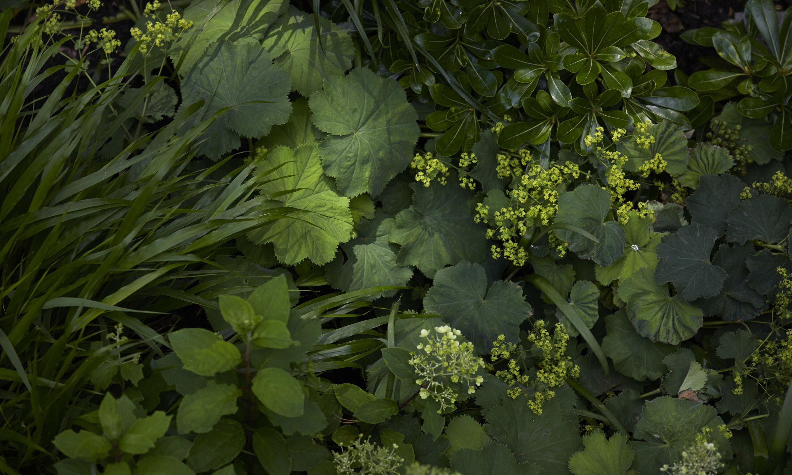 North-London-10-scaled