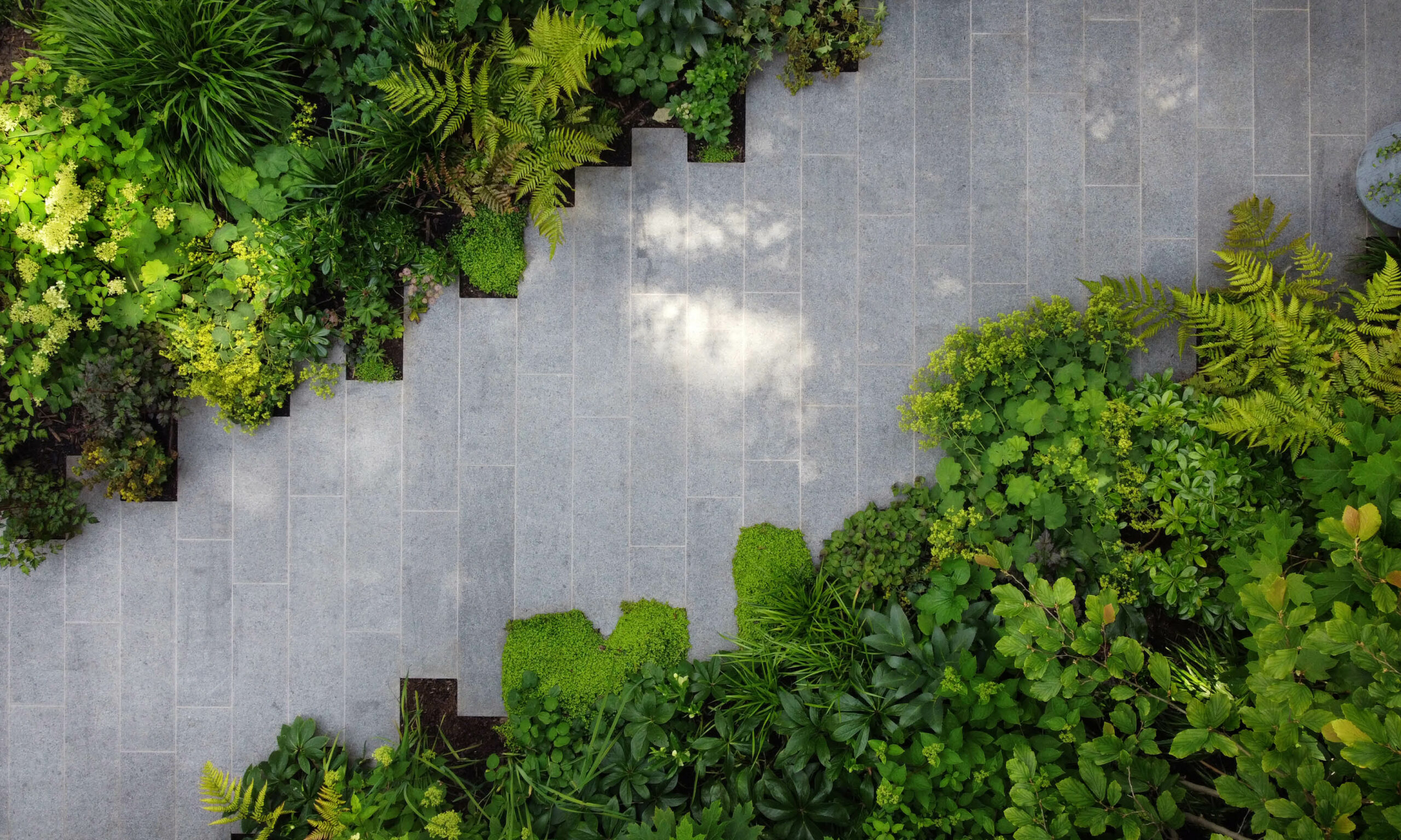 North-London-12-scaled